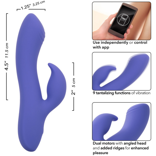 Calexotics Connect Dual Stimulator - Periwinkle