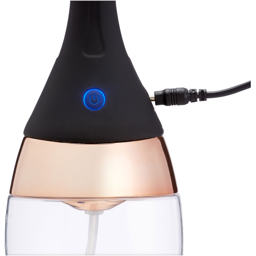 Health and Wellness Rechargeable Enema / Douche With Built-in Cleansing Pump