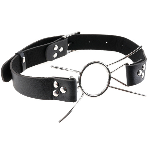 Fetish Fantasy Extreme Spider Gag