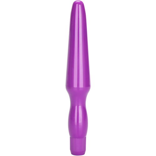 Fujikos Waterproof Anal Probe - Purple