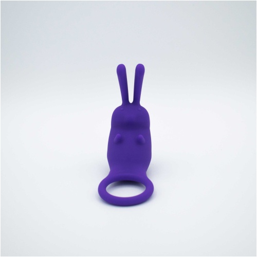 The Cock Hopper Cock Ring and Bullet Vibrator - Purple