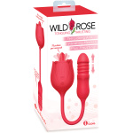 Wild Rose Tonguing Thrusting - Red