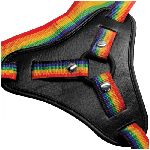 Take the Rainbow Universal Harness