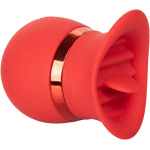 French Kiss Sweet Talker