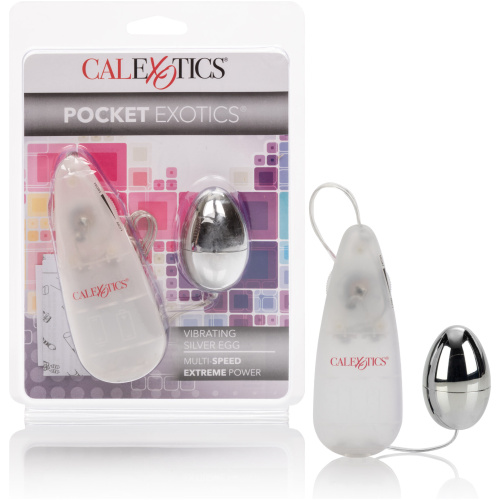 Pocket Exotics Vibrating Egg - Silver