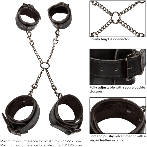 Euphoria Collection Hog Tie - Black