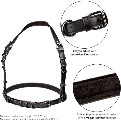 Euphoria Collection Plus Size Halter Buckle  Harness - Black