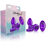 Cheeky Charms - Rechargeable Vibrating Metal Butt  Plug With Remote Control - Purple - Small