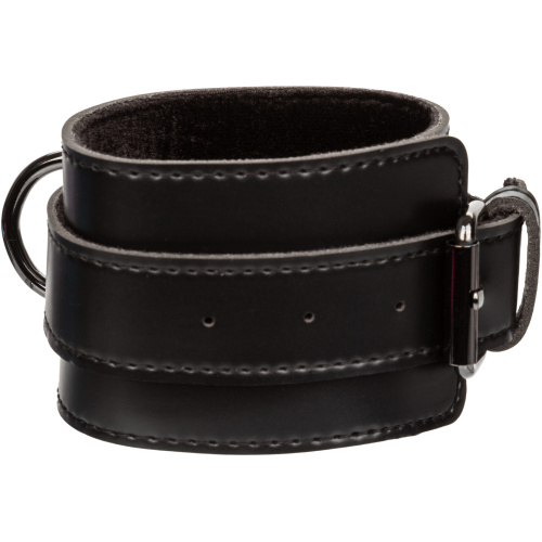 Euphoria Collection Hog Tie - Black