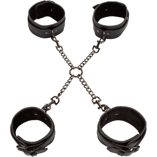 Euphoria Collection Hog Tie - Black