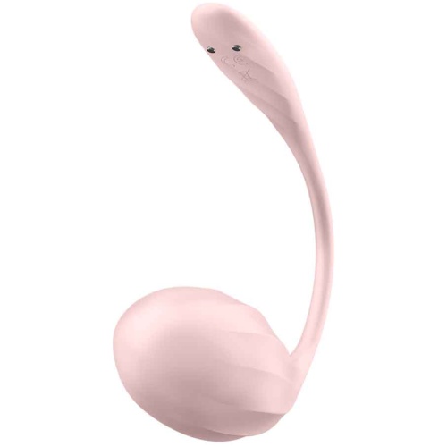 Ribbed Petal Connect App - Rose