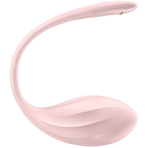 Ribbed Petal Connect App - Rose