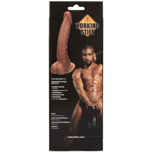 Working Stiff the Personal Trainer 7.5" - Brown
