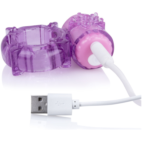 Charged Big O -Purple - Each