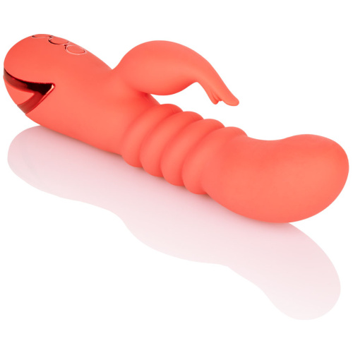 California Dreaming Orange County Cutie