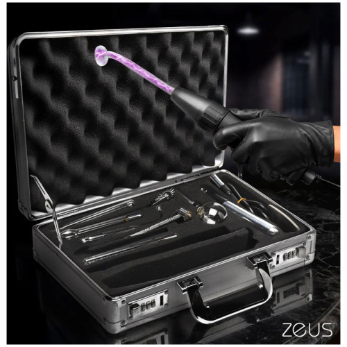 Zs Ultimate Edition Violet Wand Set