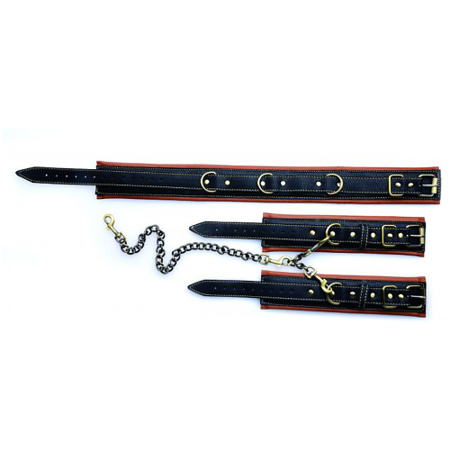 Coax Collar to Wrist Restraints