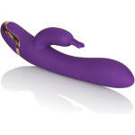 Entice Isabella - Purple