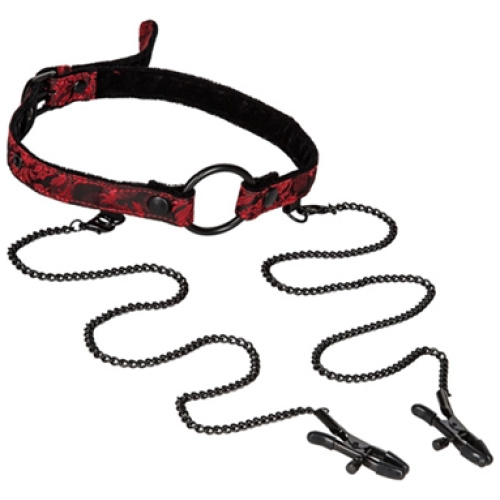 Scandal Open Mouth Gag With Clamps