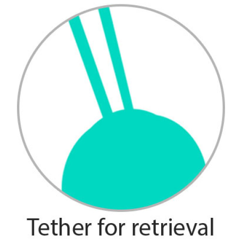 Health and Wellness Wireless Remote Control Egg -  Swirling Motion