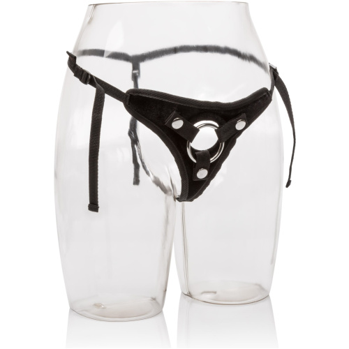 Her Royal Harness - the Princess