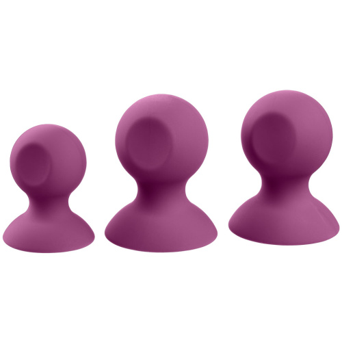 Cloud 9 Health and Wellness Nipple and Clitoral Massager Suction Set - Purple