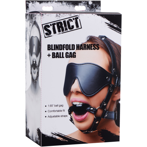 Blindfold Harness and Ball Gag