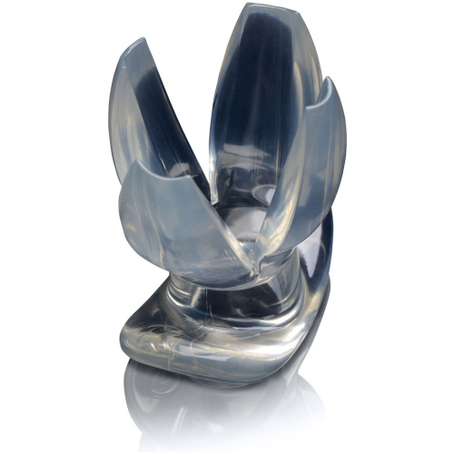 Clawed Expanding Clear Dilator