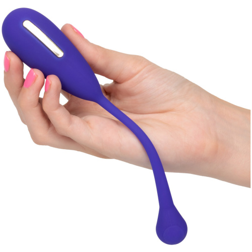 Impulse Intimate E-Stimulator Remote Kegel Exerciser