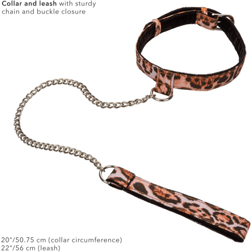 Unleashed Adventure Set