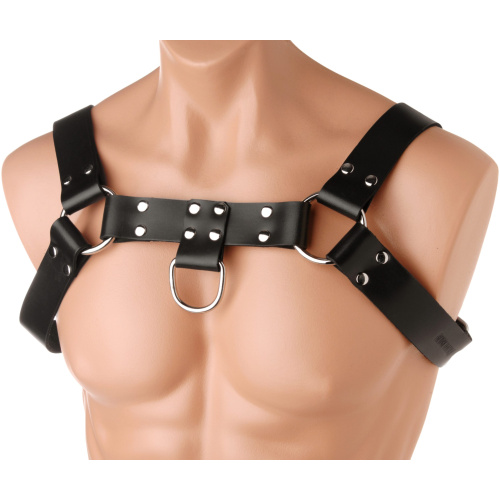 English Bull Dog Harness