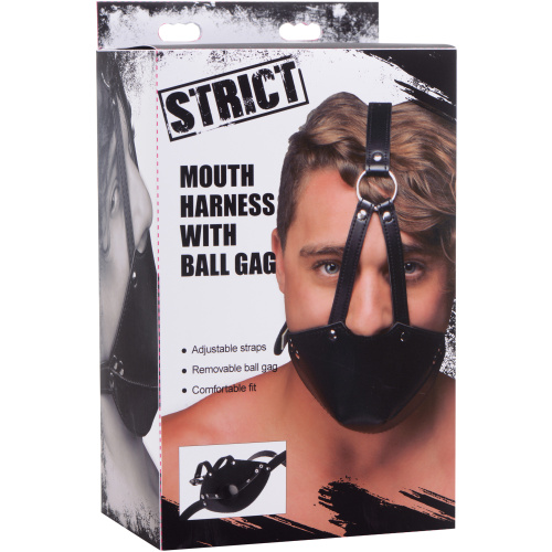Muzzle Harness With Ball Gag