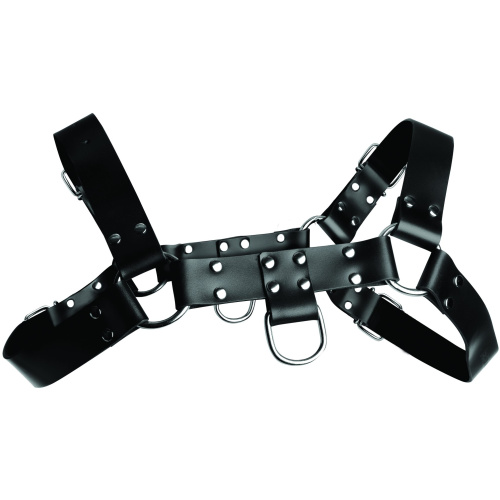 English Bull Dog Harness