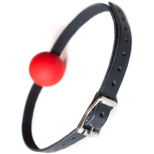 Kinklab Red Ball Gag