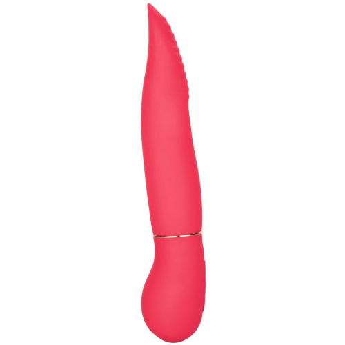 In Touch Dynamic Trio