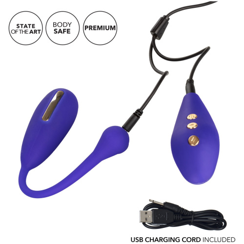 Impulse Intimate E-Stimulator Remote Kegel Exerciser