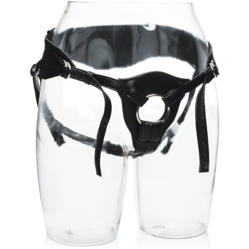 Her Royal Harness - the Queen