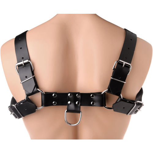 English Bull Dog Harness