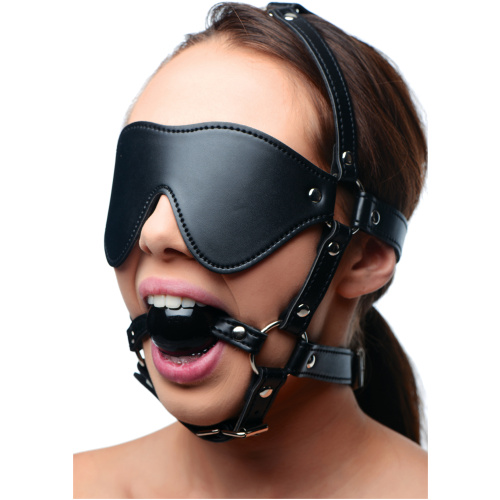 Blindfold Harness and Ball Gag