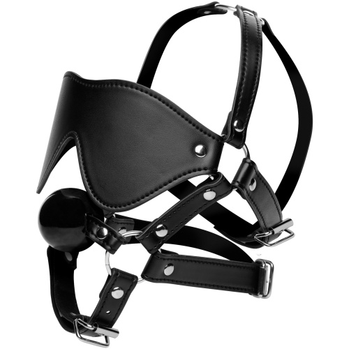 Blindfold Harness and Ball Gag