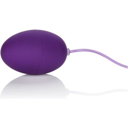 Waterproof Pocket Exotics Waterproof Egg - Purple