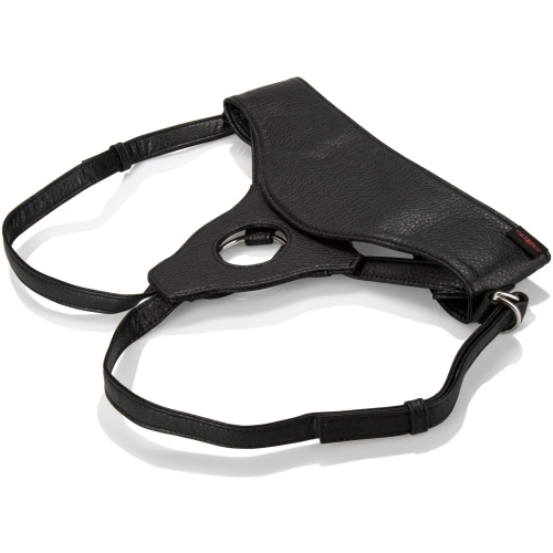 Her Royal Harness  -  the Queen