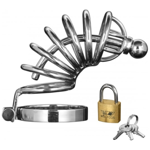 Asylum 4 Ring Locking Chastity Cage - Small/medium