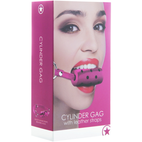 Cylinder Gag - Pink