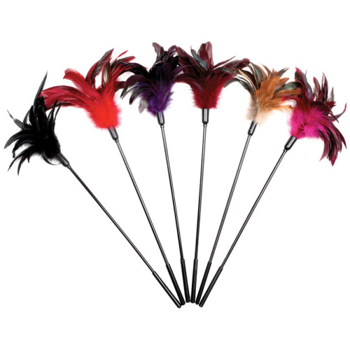 Starburst 6pc Combo S