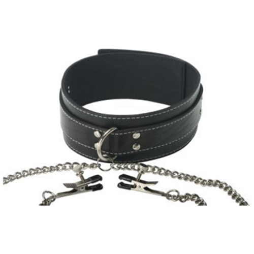 Coveted Collar and Clamp Union