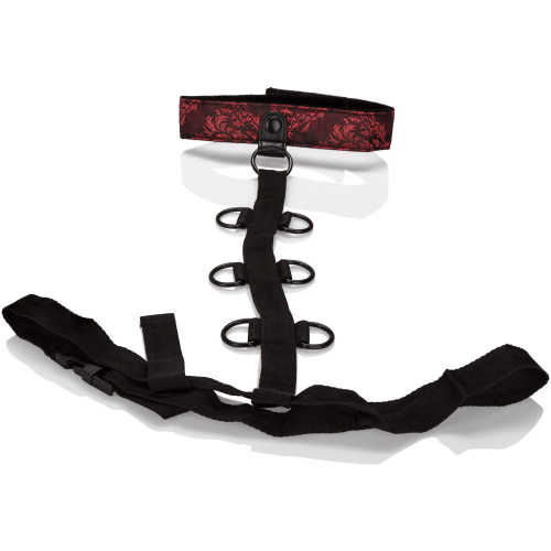 Scandal Collar Body Restraint