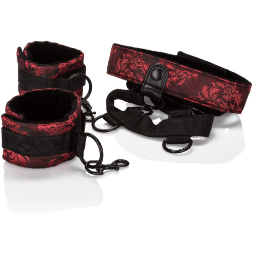 Scandal Collar Body Restraint
