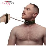 Colt Camo Collar and Leash