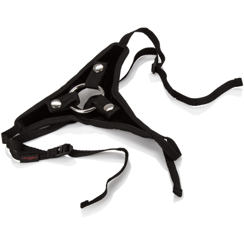 Her Royal Harness the Princess - Boxed